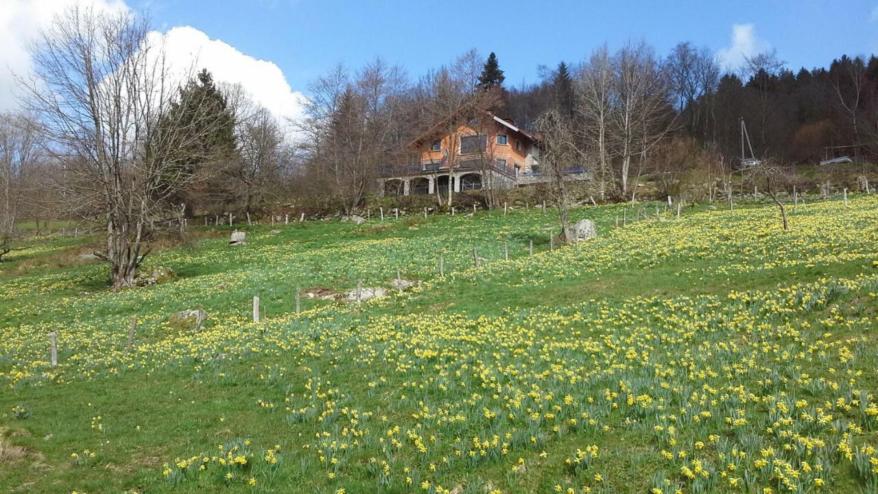 Gite De La Lombarde Le Tholy Exterior photo